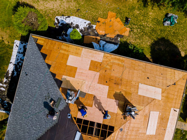 Roof Gutter Cleaning in Woodland Heights, PA
