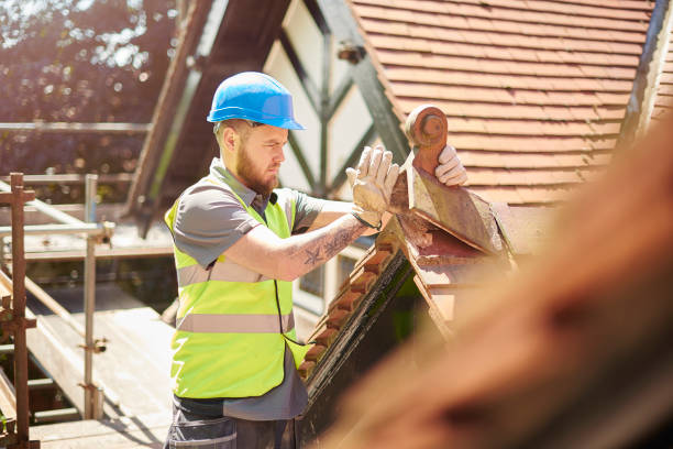 Best Roof Gutter Cleaning  in Woodland Heights, PA