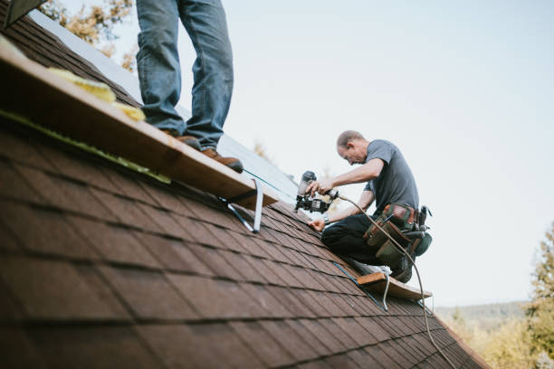 Best Roof Restoration Services  in Woodland Heights, PA